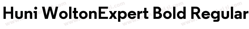 Huni WoltonExpert Bold Regular字体转换